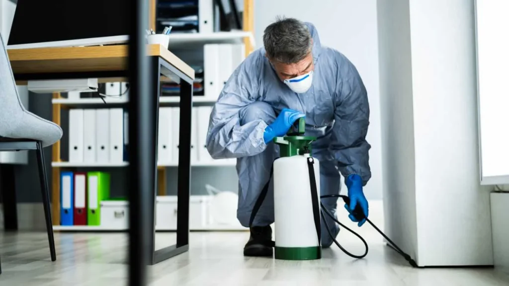 How to Keep Your New Home Pest-Free